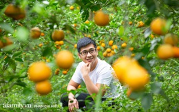 Chàng "công tử đất Hà thành" bỏ phố lên núi làm chủ 3 quả đồi trồng cam, mỗi năm kiếm cả tỷ bỏ túi nhưng cũng bị "vùi dập" đến tơi bời
