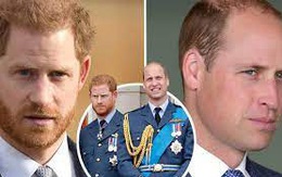 Anh em Hoàng tử William - Harry có quyết định đồng lòng đầu tiên sau khi hàng loạt rạn nứt bị phơi bày trên báo chí, kỳ vọng sẽ sớm hàn gắn?