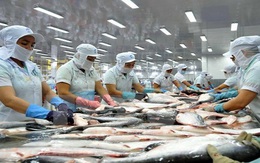 Xuất khẩu thủy sản sang Mỹ tiếp tục tăng mạnh