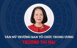 Chân dung Trưởng Ban Tổ chức Trung ương Trương Thị Mai