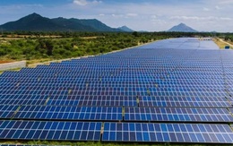 EVN: Sản lượng điện tái tạo quý I/2021 tăng hơn 180%