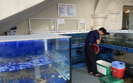 Du khách đổ về Bà Rịa - Vũng Tàu ăn hải sản, giá cả tăng vọt