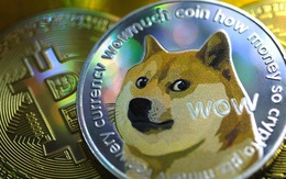 Financial Times: Dogecoin - Canh bạc hời hay 'cú lừa'?