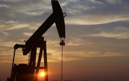 Giá dầu vọt lên mức cao nhất gần 2 năm sau báo cáo của OPEC và EIA