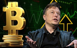 Vì sao Elon Musk ‘quay lưng’ với Bitcoin?