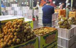 Trái cây Thái Lan đầu mùa giá cao ngất, còn bưởi xoài Việt Nam rẻ bèo