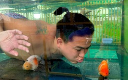 Nghỉ học từ lớp 11 để nuôi cá vàng trên sân thượng, chàng trai khoe doanh thu 100-200 triệu đồng/tháng