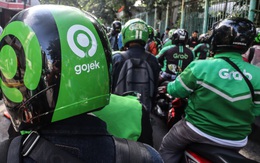 Nikkei Asia: Gojek chuẩn bị tham gia 'cuộc chiến 4 bánh' và ví điện tử tại Việt Nam