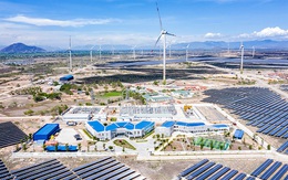 Mới huy động thêm 2.000 tỷ đồng trái phiếu và bán cổ phần tại hai dự án điện tái tạo, dòng tiền lớn đổ về Trung Nam Group