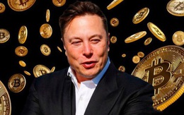 Elon Musk khiến 'tín đồ' tiền số quay như chong chóng: Đính chính 'chưa bán một đồng Bitcoin nào!'