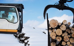 Giá gỗ tăng 280% trong 12 tháng và cơn khủng hoảng chưa có hồi kết của thị trường nhà ở
