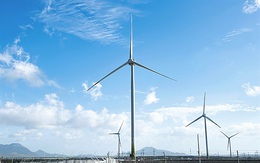 Hậu Giang sẽ có dự án điện gió 3.220 tỷ đồng