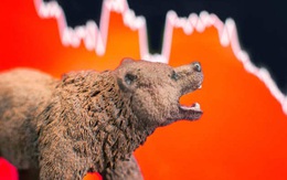 Thị trường thăng hoa, nhiều cổ phiếu “tỷ đô” vẫn ngược dòng giảm trong 5 tháng đầu năm