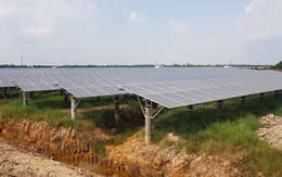 Tiến hành rà soát dự án điện mặt trời mái nhà tại Bình Phước