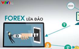 Đầu tư forex, tiền ảo: Vỡ mộng làm giàu, mất cả tiền lẫn bạn