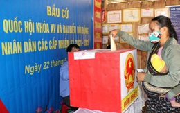 Truyền thông quốc tế nói gì về cuộc bầu cử tại Việt Nam trong bối cảnh dịch bệnh hiện nay?