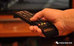 Nghiên cứu của Mỹ: Mỗi ngày xem TV thêm 1 giờ, não của bạn sẽ mất đi 0.5% chất xám