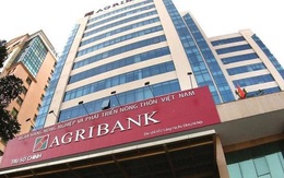 Sau cổ phần hoá, Agribank phải đi thuê trụ sở