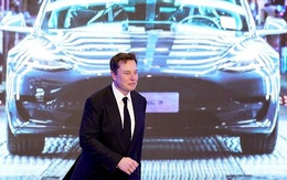 Elon Musk đặt mục tiêu mới cho Tesla: không chỉ sản xuất ô tô mà còn là một hãng robot AI