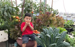 Sân thượng 100m² xanh tươi rau quả sạch của mẹ đảm ở Đà Nẵng