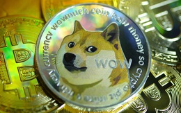 Vì sao giá Dogecoin bất ngờ tăng vọt để đạt mốc cao nhất lịch sử, vốn hóa gấp đôi cả Twitter?