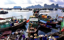 Quảng Ninh đóng cửa chợ đầu mối hải sản để chống dịch