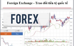 Công an vạch trần hình thức kinh doanh, giao dịch sàn Forex