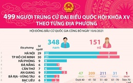 Infographics: 499 người trúng cử Đại biểu Quốc hội khóa XV theo từng địa phương