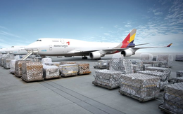 Đề xuất lập hãng IPP Air Cargo của ông Johnathan Hạnh Nguyễn có thể chỉ được xem xét khi thị trường hàng không phục hồi?
