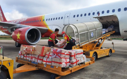 Saigon Cargo Service (SCS) chốt danh sách cổ đông trả cổ tức còn lại năm 2020 bằng tiền tỷ lệ 50%