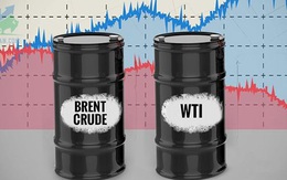 Thị trường dầu mỏ hút nhà đầu tư vì dự báo giá sẽ tăng mạnh hơn nữa