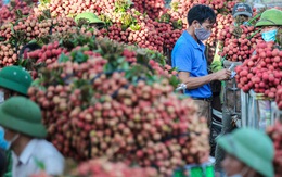 Việt Nam xuất 2,5 triệu tấn trái cây tươi sang Trung Quốc