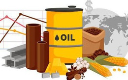Thị trường ngày 17/6: Giá dầu Brent lên gần 75 USD/thùng, vàng, quặng sắt, thép và cao su đồng loạt giảm