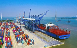 Nửa đầu năm 2021, hàng container qua cảng biển Việt Nam tăng 22%