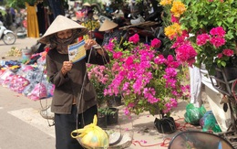Ngân hàng Thế giới: Hơn một nửa lao động Việt Nam vẫn thuộc khu vực phi chính thức
