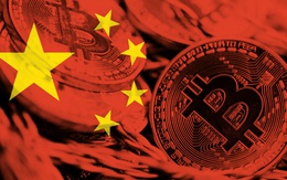 Trung Quốc tiếp tục đưa ra biện pháp cứng rắn nhằm cấm cửa tiền số, Bitcoin rơi xuống mức thấp nhất 2 tuần