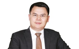 TIG: Có 5 cá nhân tham gia đợt phát hành 30 triệu cổ phiếu giá 10.500 đồng/cp, Chủ tịch Nguyễn Phúc Long sẽ mua hơn 7,2 triệu đơn vị