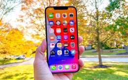 Năm sau Apple sẽ cho ra mắt iPhone 14 Max giá mềm, fan của iPhone màn hình lớn "gom thóc" dần đi là vừa