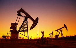 Giá dầu Brent và WTI cao nhất gần 3 năm, dầu Nga cao kỷ lục lịch sử do triển vọng nhu cầu mạnh mẽ