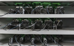 Nhà sản xuất máy đào lớn nhất thế giới dừng bán "trâu cày" Bitcoin