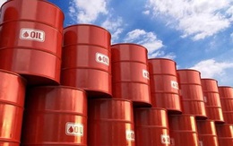 Giá dầu dự báo sẽ tiếp tục tăng mạnh