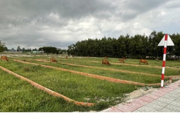 Mất kiểm soát tình trạng phân lô, bán nền trên đất nông nghiệp ở Bà Rịa – Vũng Tàu