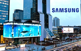 Thu hút được Samsung, Apple... Việt Nam có nên đi theo con đường của Đài Loan, Hàn Quốc?