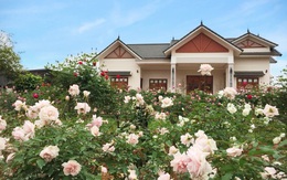 Cuộc sống an yên trong ngôi nhà có vườn hoa hồng quanh năm tỏa hương sắc của gia đình 3 thế hệ ở Ba Vì, Hà Nội