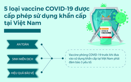 [Infographic] 5 loại vaccine COVID-19 được cấp phép sử dụng khẩn cấp tại Việt Nam