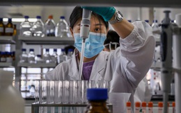 Hoa Kỳ cam kết sẽ hỗ trợ Việt Nam sản xuất, tiếp cận gần hơn với nguồn cung vaccine Covid-19