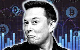 Elon Musk thông báo chia tay Bitcoin, nhà đầu tư tiền số lại 'toát mồ hôi hột'