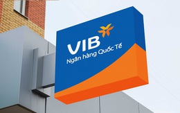 Liên tục "lướt sóng", vợ Phó Chủ tịch VIB đăng ký mua 2 triệu cổ phiếu sau khi vừa bán ra 8,5 triệu cổ phiếu