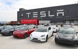 Đơn hàng giảm một nửa tại Trung Quốc, cổ phiếu Tesla bị bán tháo