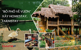 “Bỏ phố về quê” xây homestay, farmstay - Đầu tư sinh lời hay thú vui của giới nhà giàu